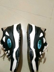 OGYI Shoe
