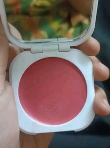 RECODE lip and chik tint -Goose bumps