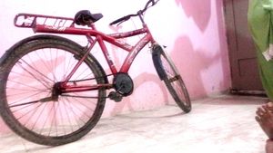 Red City Style Bike Cycle
