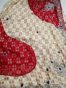 Elegant Embellished Sari
