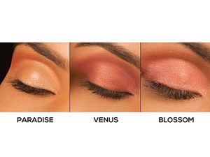 Renne Fab 3 In 1 Eyeshadow | Brand New