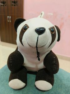 Cute panda