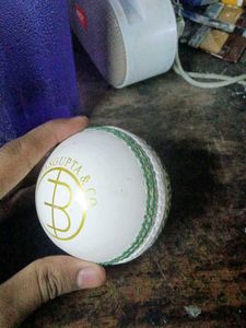 Cricket Ball