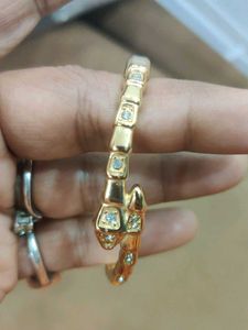 Snake Style Anti Tarnish Bracelet
