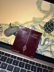 Charlotte Tilbury Cheek to Chic in Walk Of No Sham