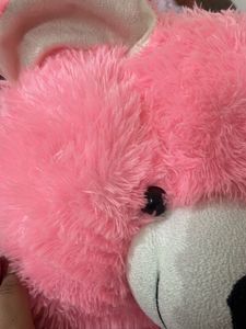 Pink Teddy For Kids