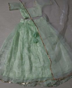 Elegant Mint Green Lehenga Choli Set