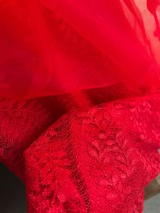 Luxury Shimmery  Red Gown