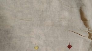 cream cotton saree