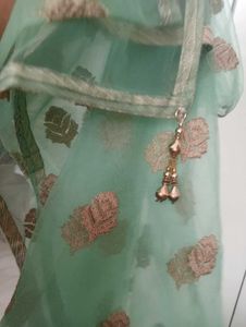 Green Colour Lehenga Choli