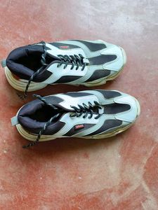 Waan Shoe 👟