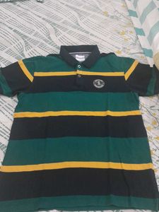 Striped Polo Shirt