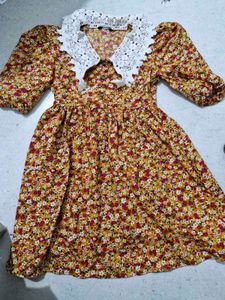 Floral Mini Dress with Lace Collar