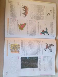 Visualised Science &amp; Technology