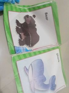 COMBO*2  BOOKS *FLASH CARDS *