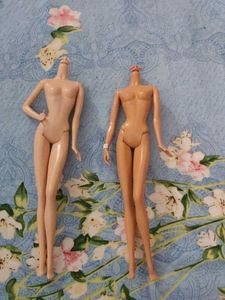 Barbie Doll Model Muse Bodies