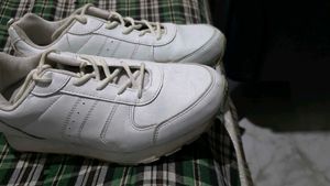 Not used to wear sports shoes.