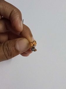 Elegant Gold Earrings