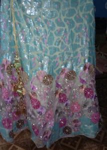 Embroidered Lehenga Skirt