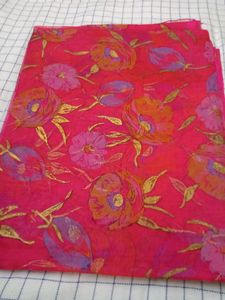 Organza Type Saree