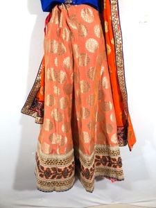 Multi Colour Emboridered Lehenga Choli Set(Women)