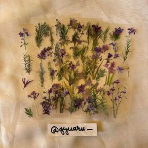 Nature Sticker Sheets