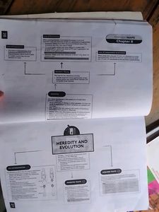 Educart Science Sample Paper Class 10