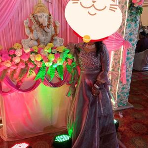 Gorgeous Sequin and Organza Western Lenhga