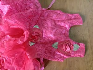Unused Cute Peach Dress