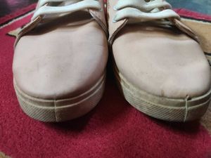 Canvas (Sneakers)