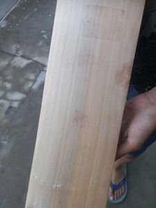 English Willow Bat Ss Knight Rider Edition