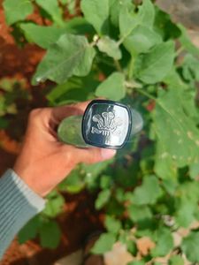 Creed Aventus Perfume