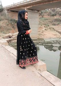 Elegant Black Embroidered Dress