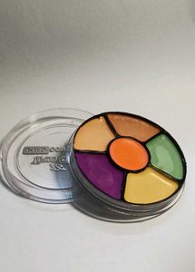 True Girl Pro Concealer Palette