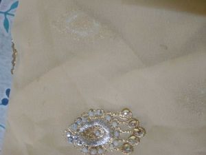 Elegant Embellished Saree