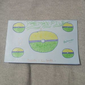 POKEMON FILE.