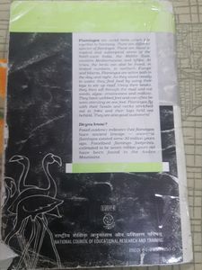 Ncert English Flamingo Class 12