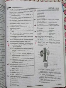 NEET-UG &amp; AIIMS Test Papers( Set of 2)