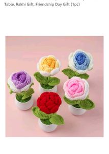Crochet Flower Pot