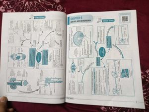 CBSE Class 10 Science Sample Papers