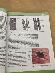NCERT Class XI Biology textbook