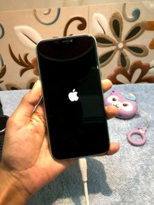 ❣️ iPhone 11 ( 128 GB )
