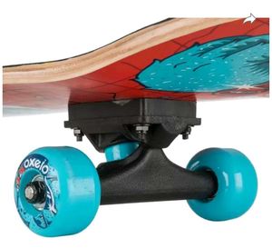 Skating Board