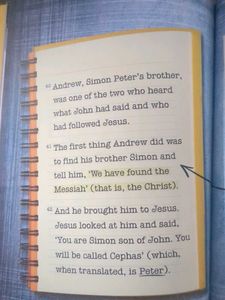 The World - Bible Workbook