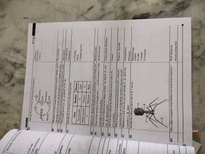 ALLEN NCR Biology Books