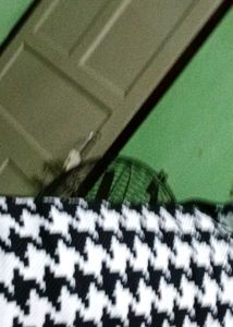 Houndstooth Bomber Jacket