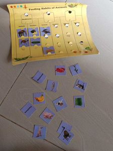 Animal Feeding Habits Puzzle