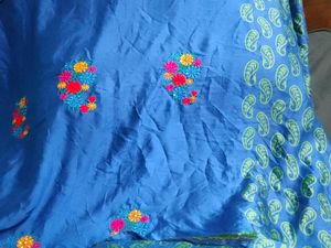 Blue Sari with Paisley Blouse