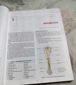 Human Anatomy - Volume 1