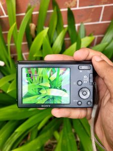 SONY CYBERSHOT DSC-W510 Digital Camera